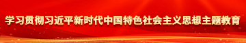 操B视频网学习贯彻习近平新时代中国特色社会主义思想主题教育